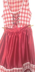 Adult Female Costumes to Hire - German Plaid Print dress & red apron - XL